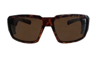 BOOGIE - Polarized Tortoise 2