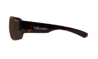 BOOGIE - Polarized Tortoise 4