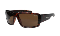 BOOGIE - Polarized Tortoise 1