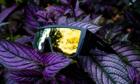 BUZZ Bomb Safety - Polarized Gold Mirror 8