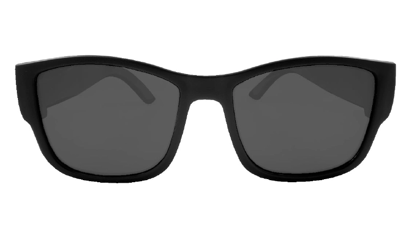 GOMER - Polarized Smoke Black 2