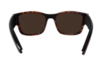 GOMER - Polarized Tortoise 3