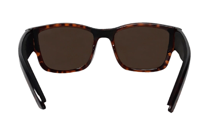 GOMER - Polarized Tortoise 3
