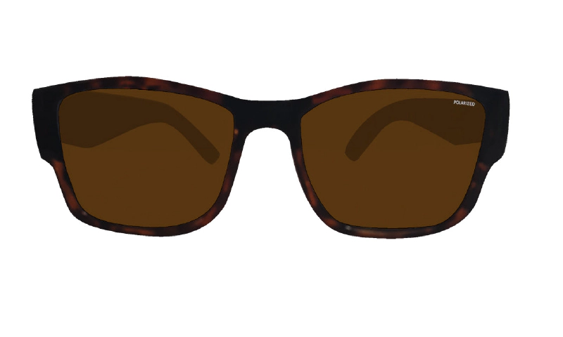 GOMER - Polarized Tortoise 2