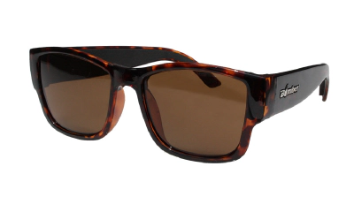 GOMER - Polarized Tortoise 1