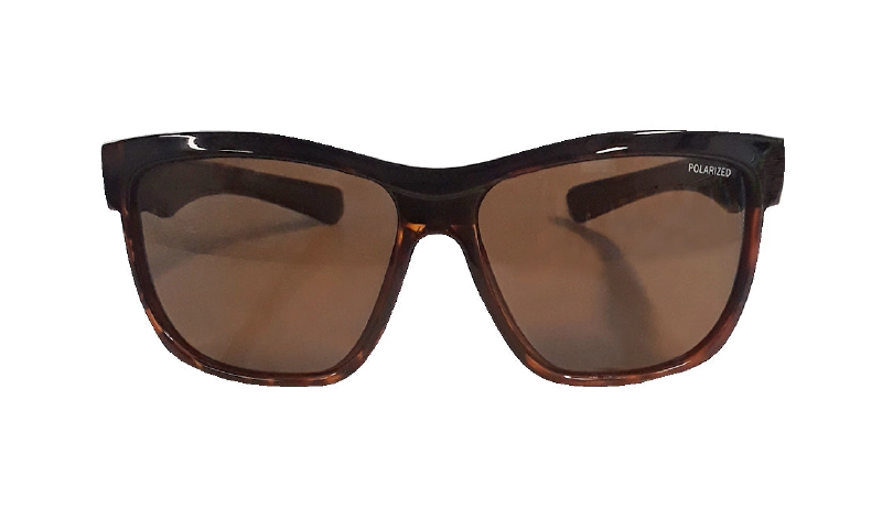 JACO - Polarized Tortoise 2