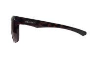 JACO - Polarized Tortoise 4