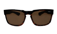 SMART - Polarized Tortoise 2