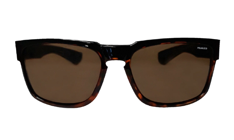SMART - Polarized Tortoise 2