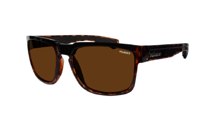 SMART - Polarized Tortoise 1