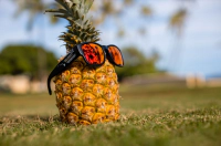 GOMER - Polarized Red Mirror Aloha Series 7
