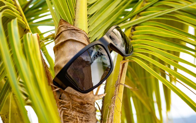 TIGER Safety - Polarized Smoke 6