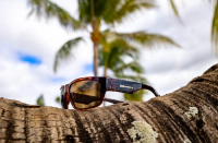 TIGER Safety - Polarized Tortoise 5