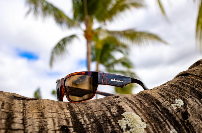 TIGER Safety - Polarized Tortoise 5