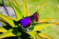 JACO - Polarized Revo Pink Mirror Crystal 6
