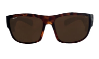 TIGER Safety - Polarized Tortoise 2